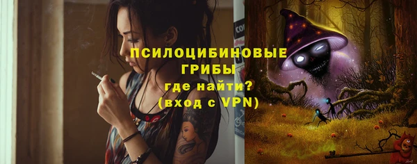 стаф Арсеньев