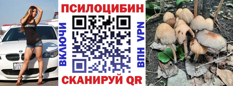 маркетплейс какой сайт  Шлиссельбург  Псилоцибиновые грибы мицелий 